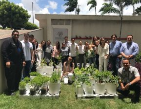 COLABORADORES DO GRUPO VIPER PARTICIPAM DO PROJETO “SUSTENTABILIDADE TRANSFORMA”